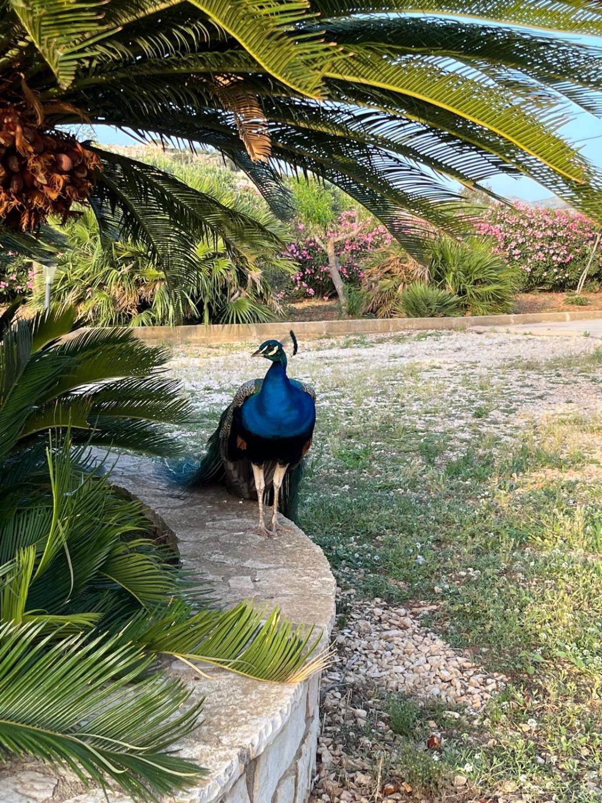 Villa Lea كوستوناتشي المظهر الخارجي الصورة