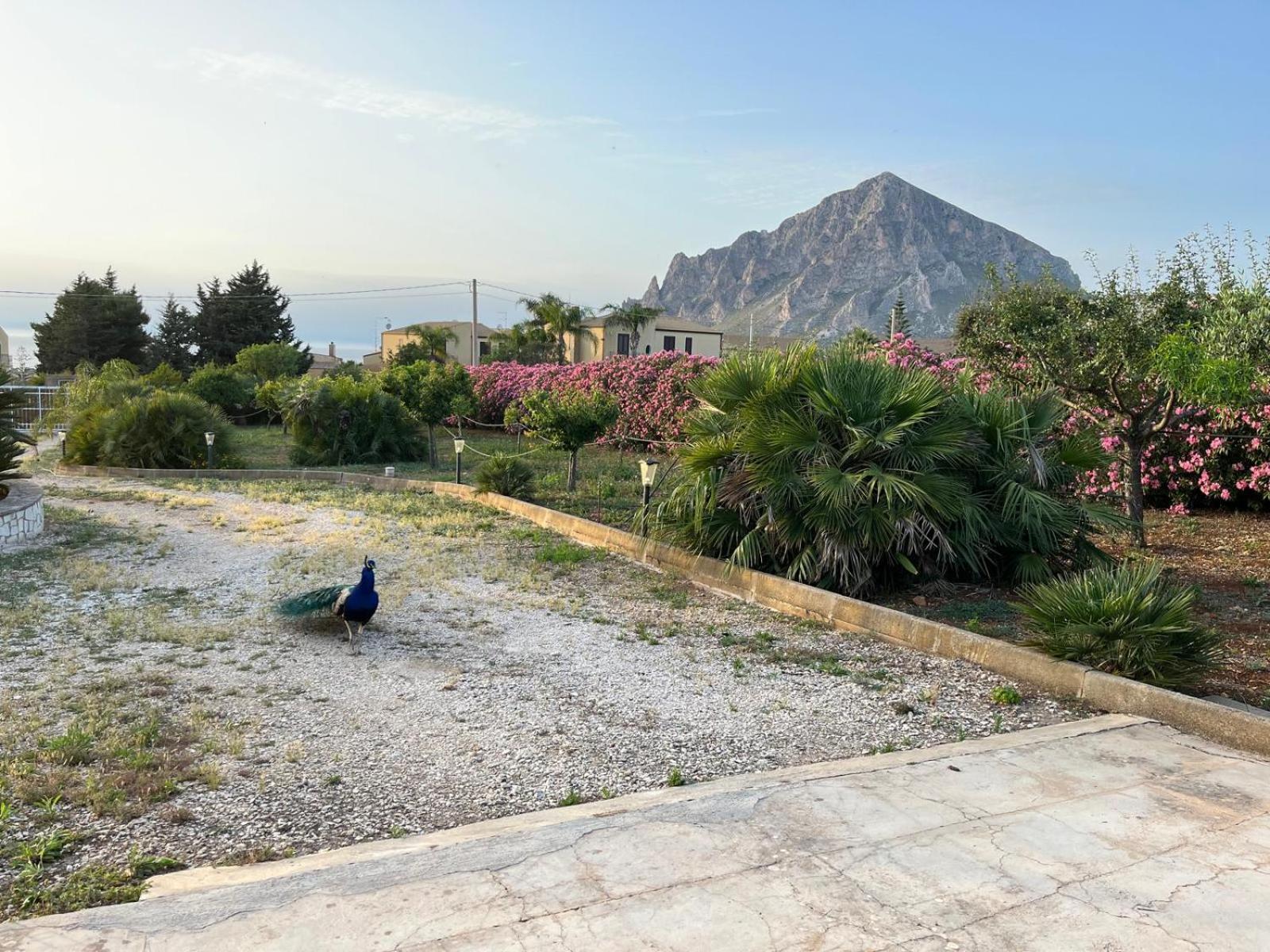 Villa Lea كوستوناتشي المظهر الخارجي الصورة