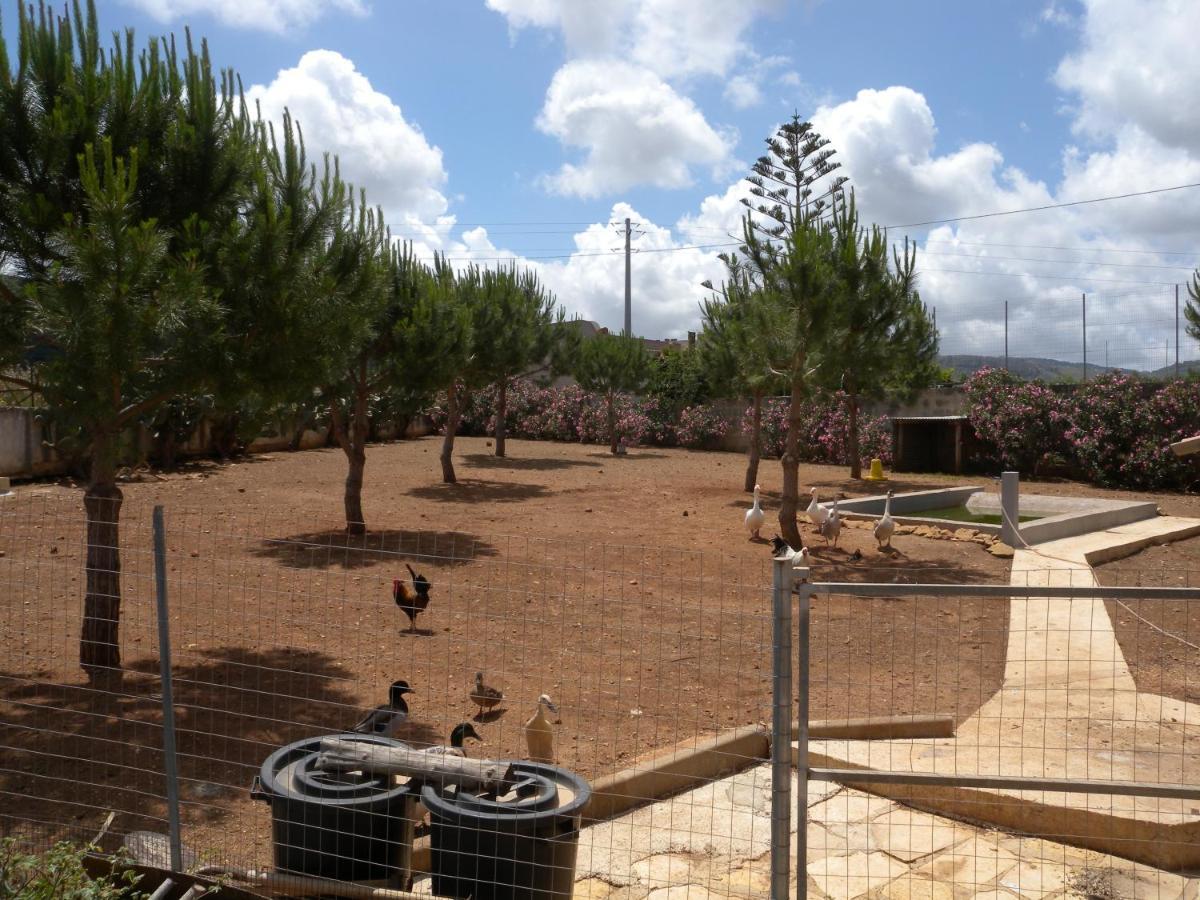 Villa Lea كوستوناتشي المظهر الخارجي الصورة